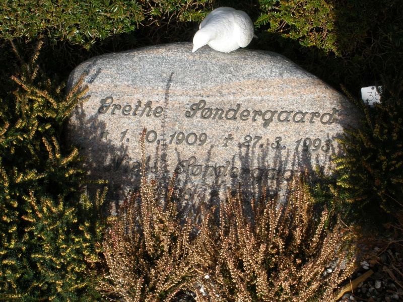 Niels Soendergaard.JPG